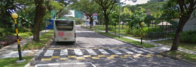 3-pedestrian crossing.PNG